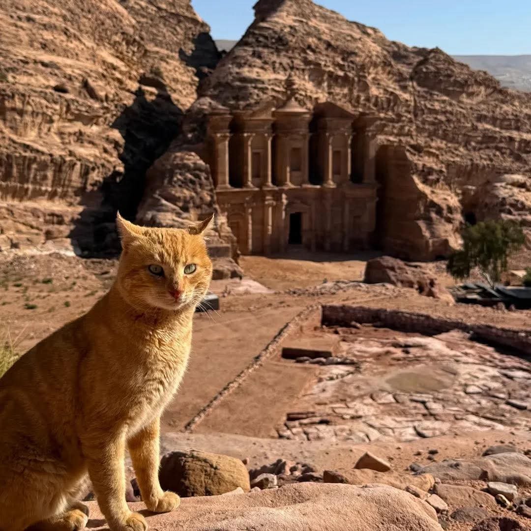 Highlight of Jordan